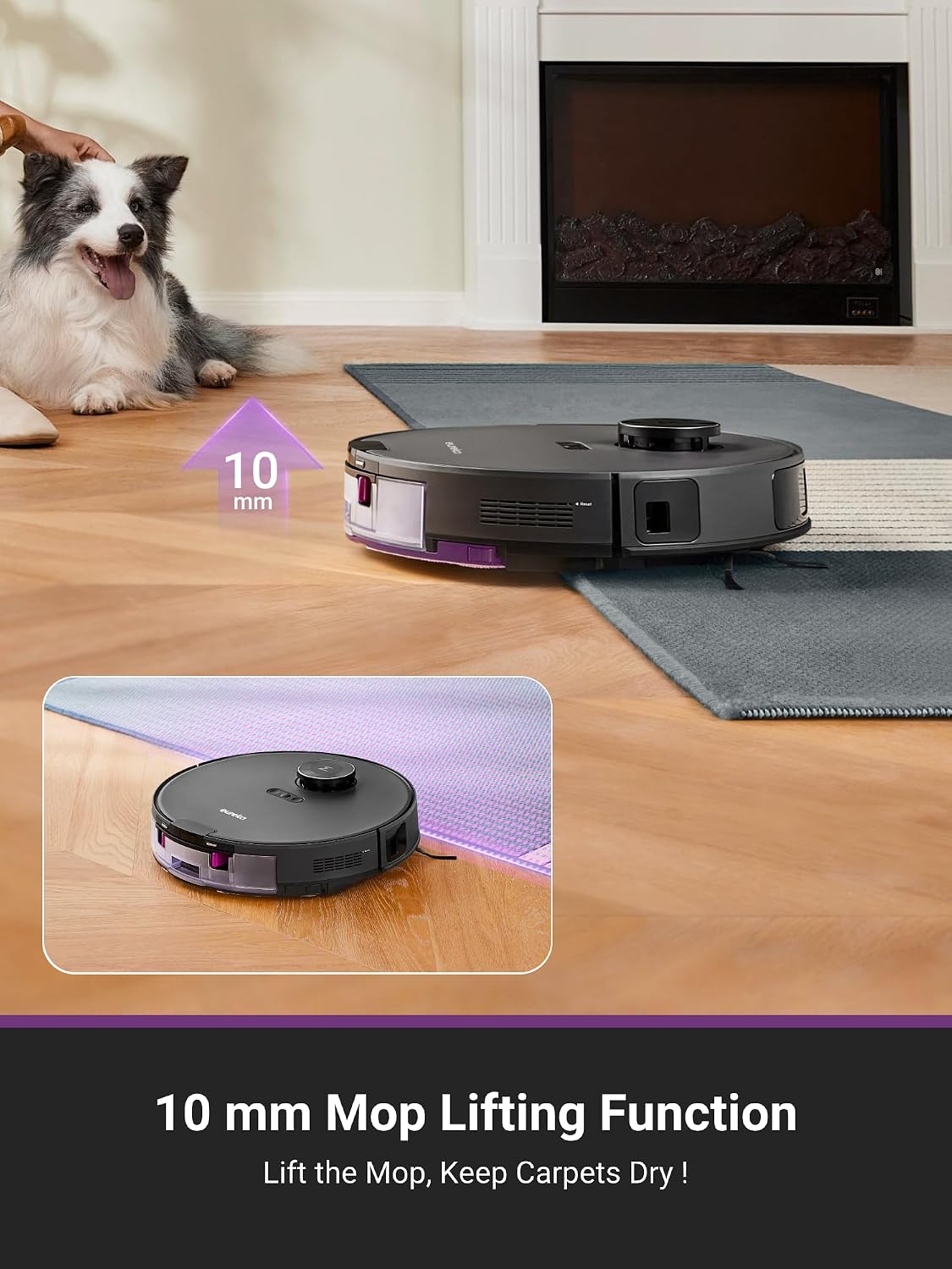 Eureka Smart Home Cleaner