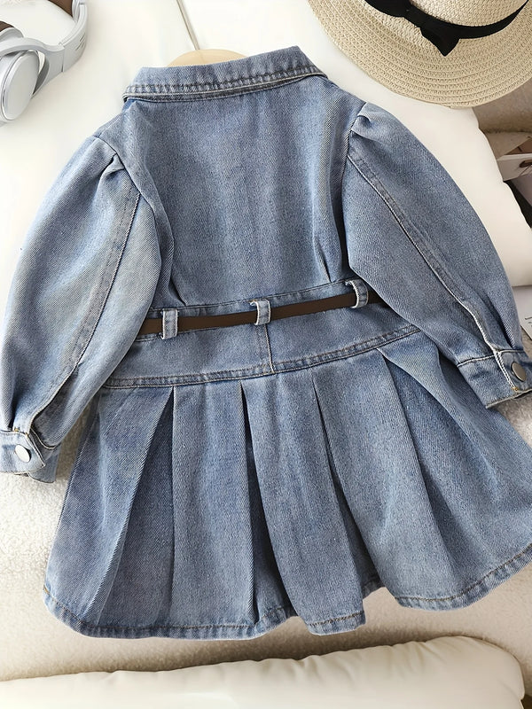 Chic Retro Polo Dress